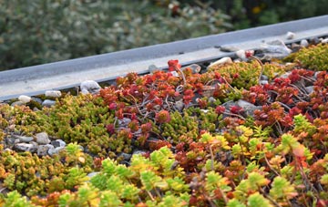 the cost of Mitcheldean green roof installation