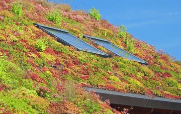 Mitcheldean living roof systems